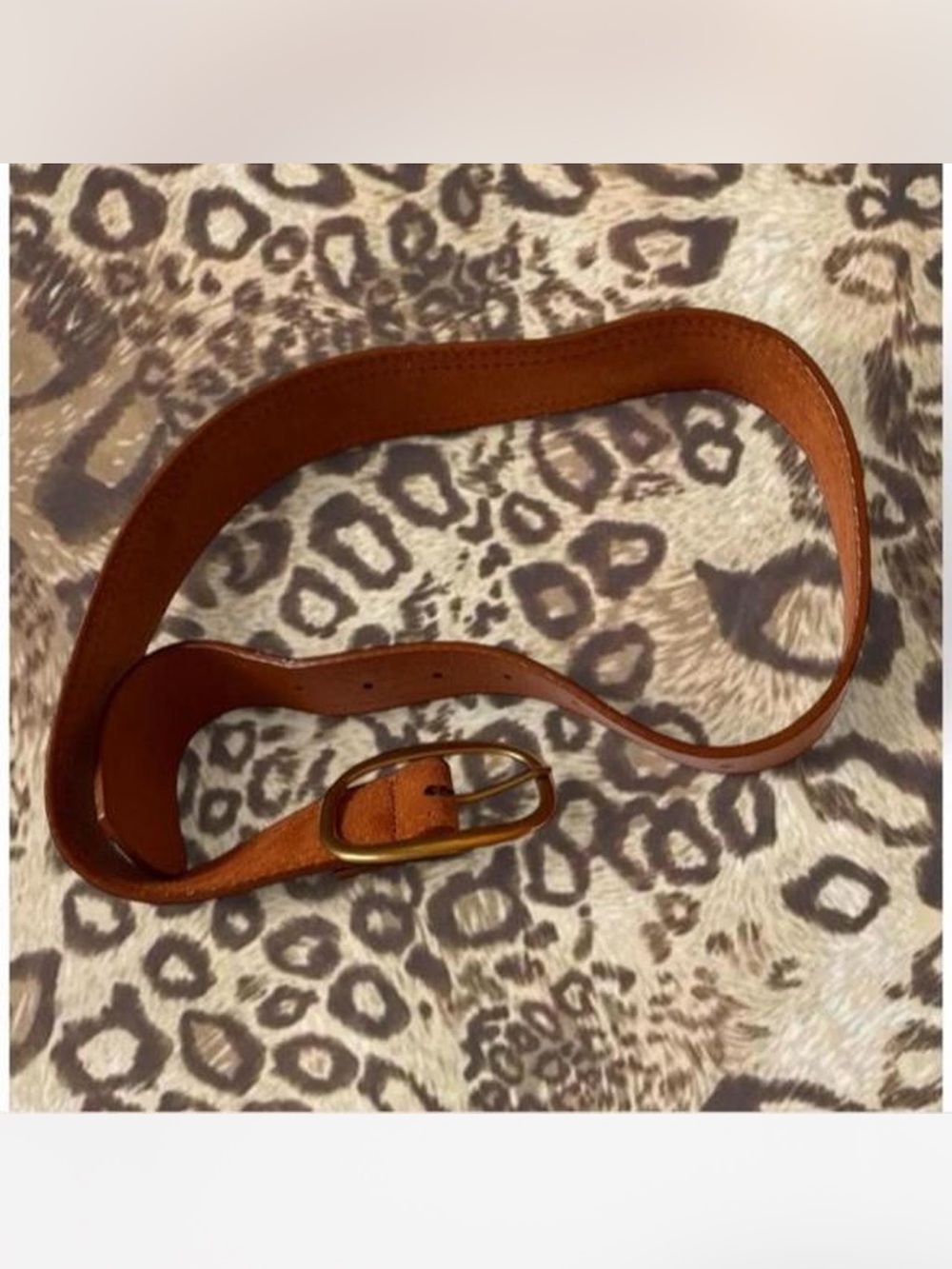 Princess Polly Tan Leather Belt with Gold Oval Buckle